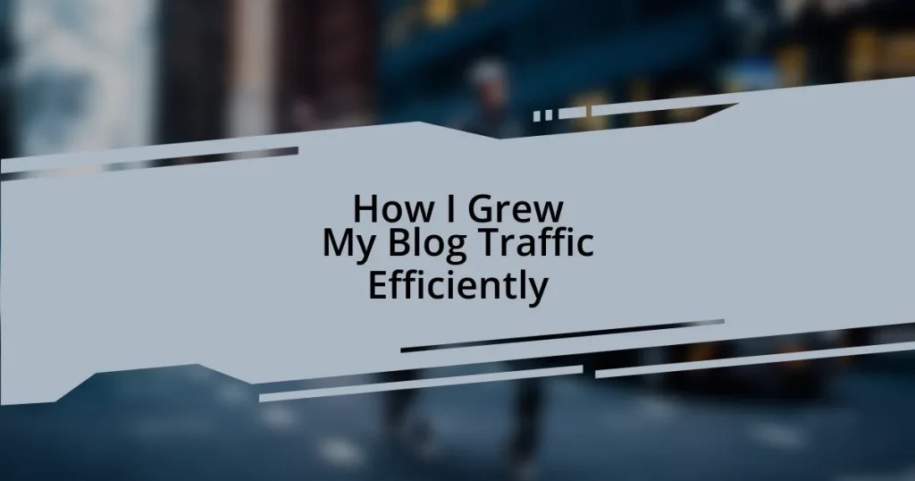 How I Grew My Blog Traffic Efficiently