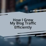 How I Grew My Blog Traffic Efficiently