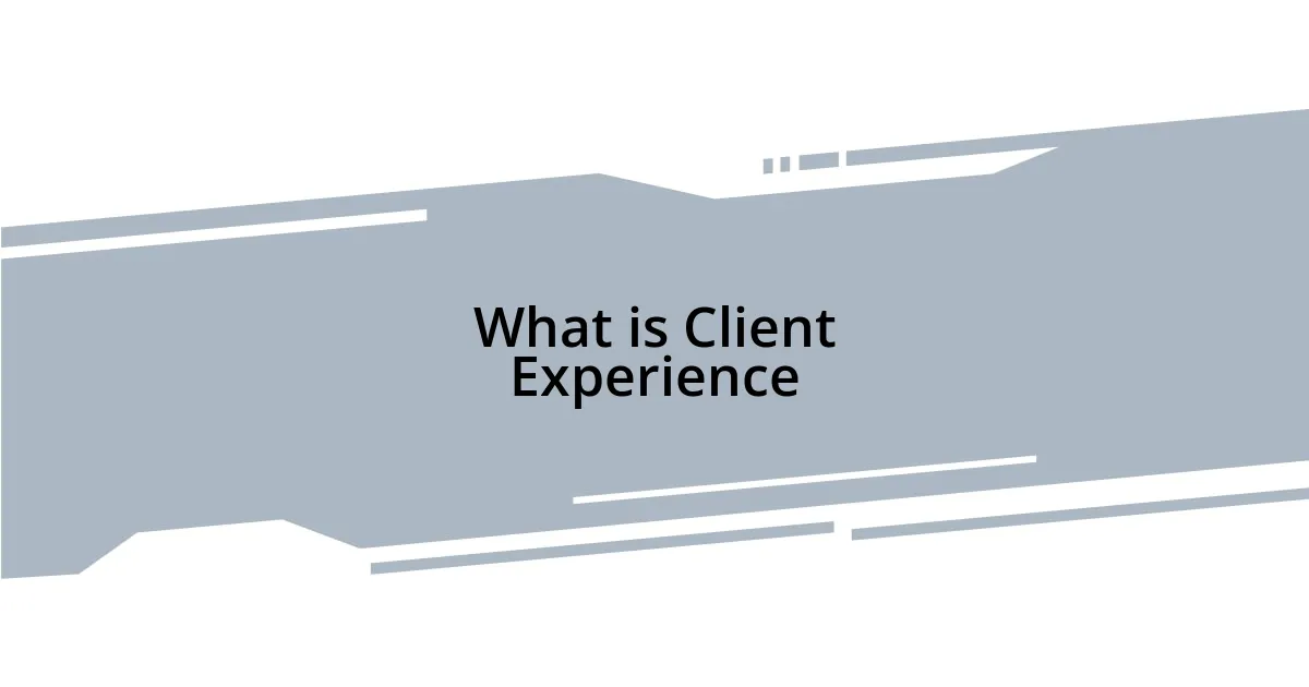 What is Client Experience